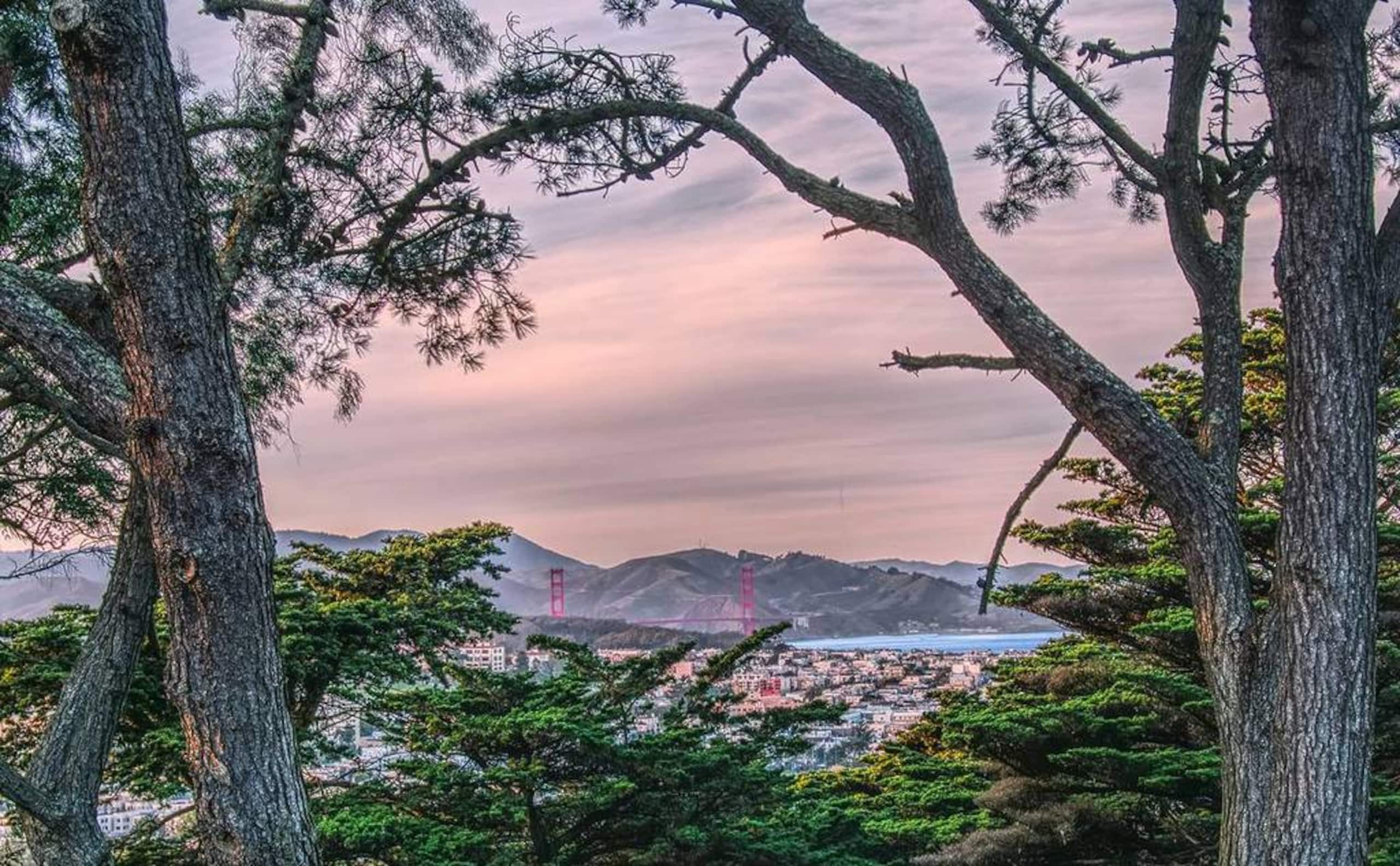 Home in San Francisco · ★5.0 · 1 bedroom · 2 beds · 2 baths - Image 24