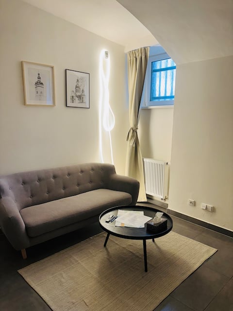 Top Airbnb: Kids-Friendly Apt - no AC needed in Žižkov