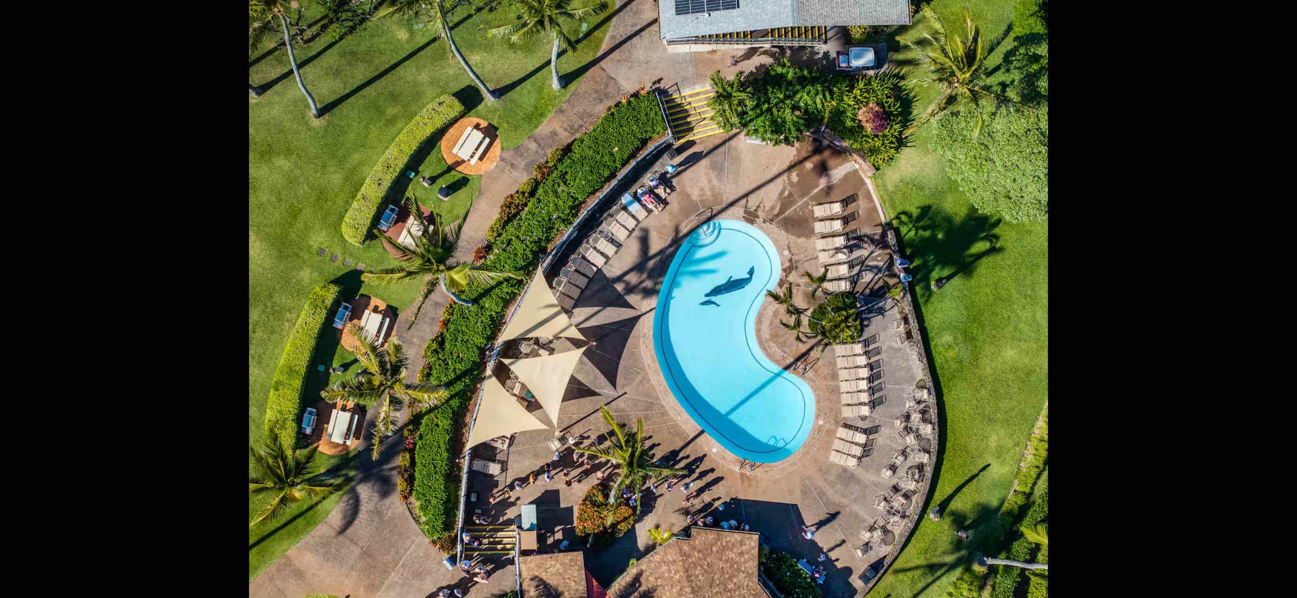 Home in Lahaina · ★4.93 · 1 bedroom · 3 beds · 1 bath - Image 21