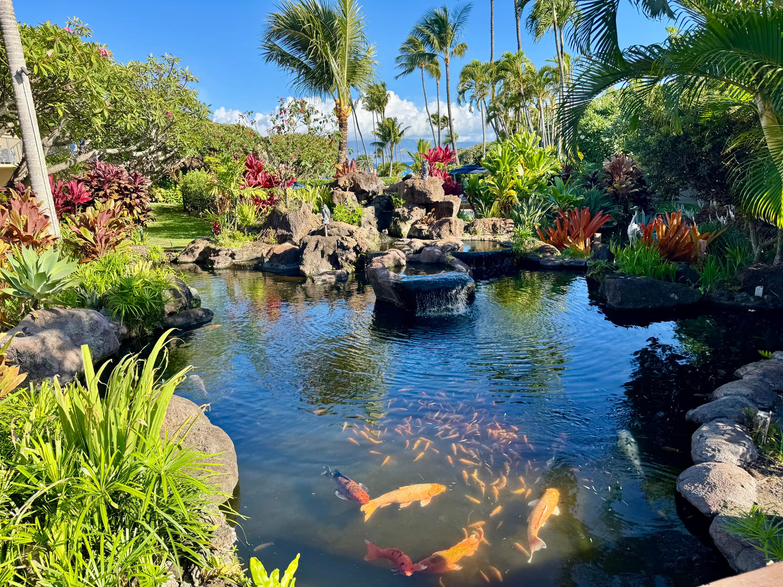 Home in Lahaina · ★4.93 · 1 bedroom · 3 beds · 1 bath - Image 32