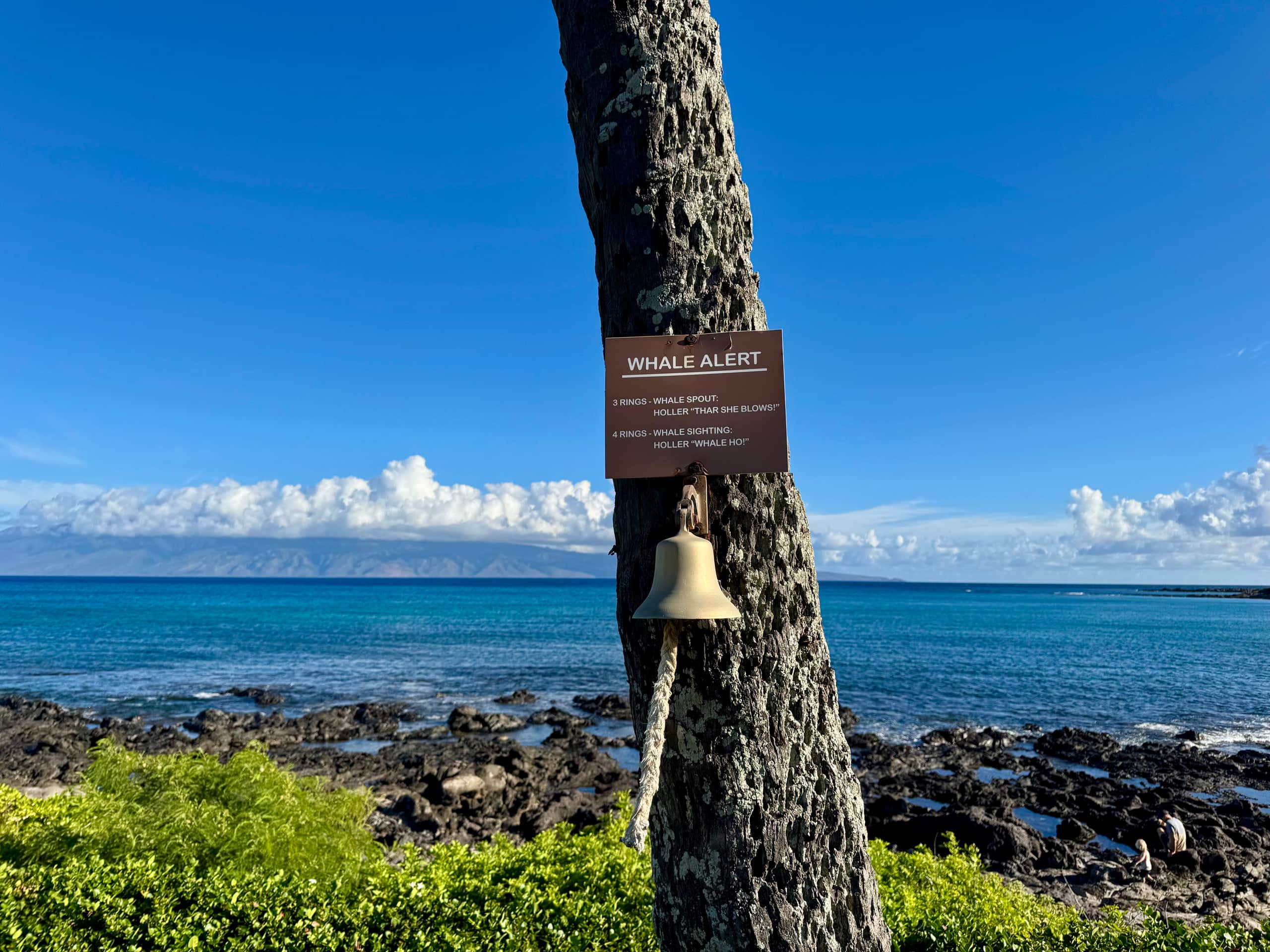 Home in Lahaina · ★4.93 · 1 bedroom · 3 beds · 1 bath - Image 39