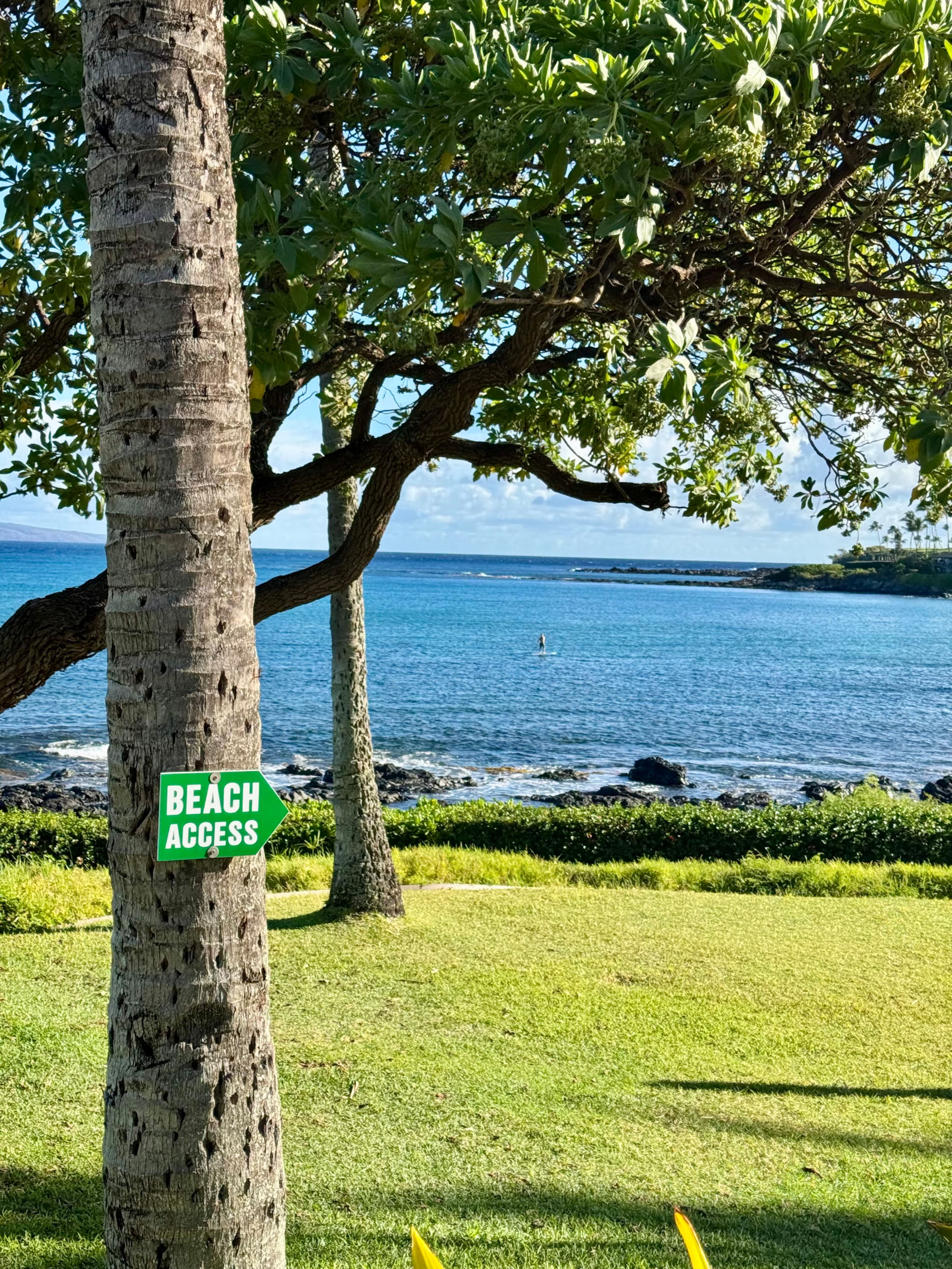 Home in Lahaina · ★4.93 · 1 bedroom · 3 beds · 1 bath - Image 41
