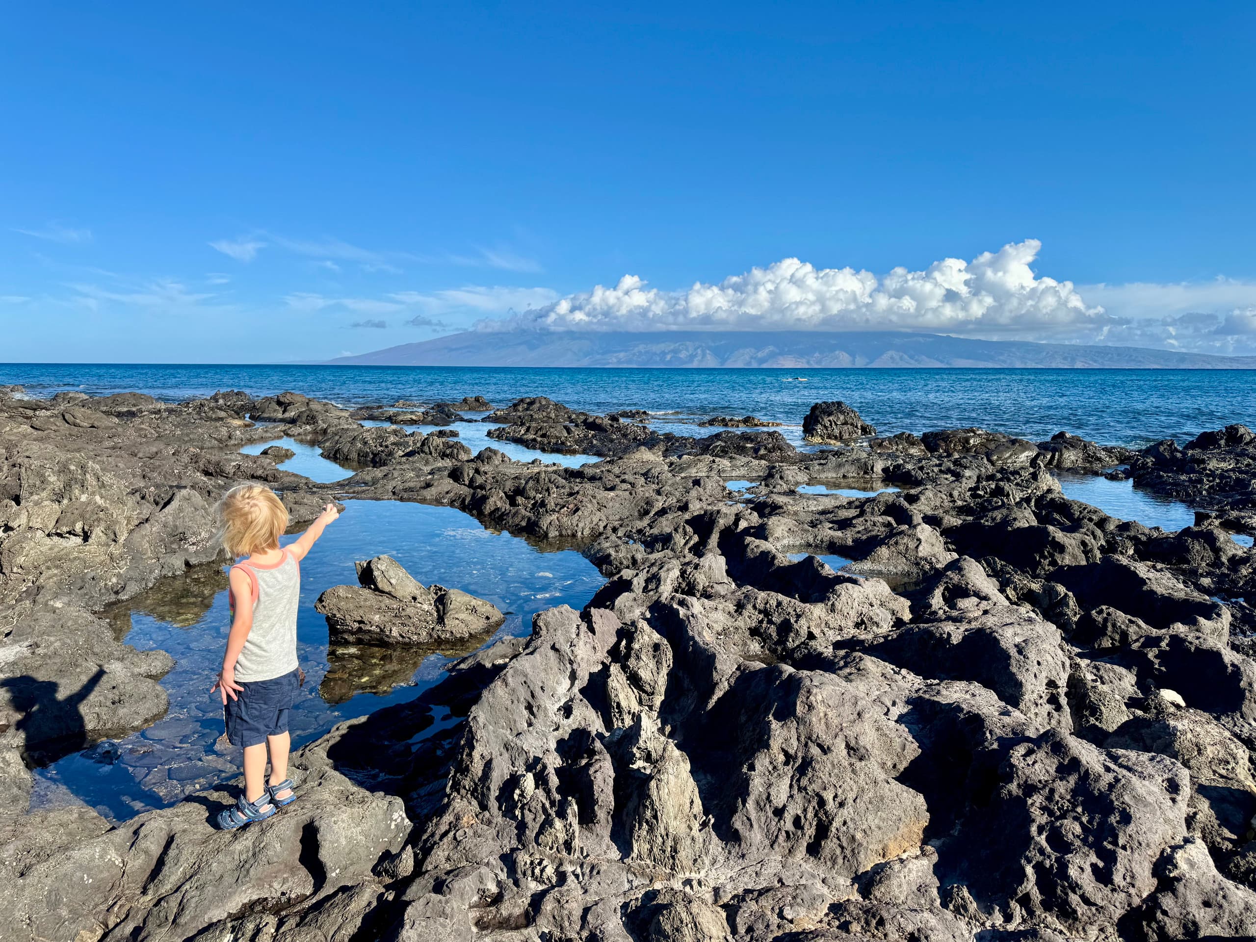 Home in Lahaina · ★4.93 · 1 bedroom · 3 beds · 1 bath - Image 38