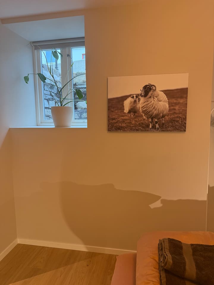 Habitación 1