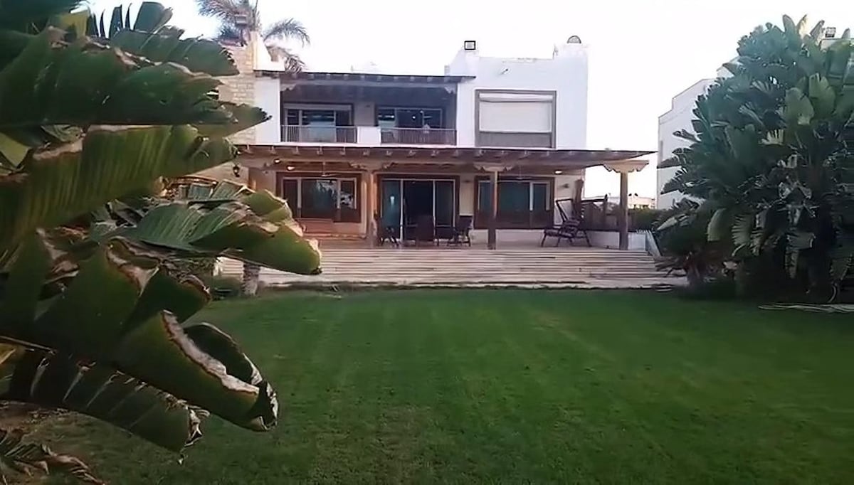 A spacious backyard presents a verdant lawn bordered by tall shrubbery. The two-story house features a wide wooden deck with seating arrangements, accessible through sliding glass doors. The overall setting is surrounded by palm trees, contributing to a relaxed outdoor atmosphere.