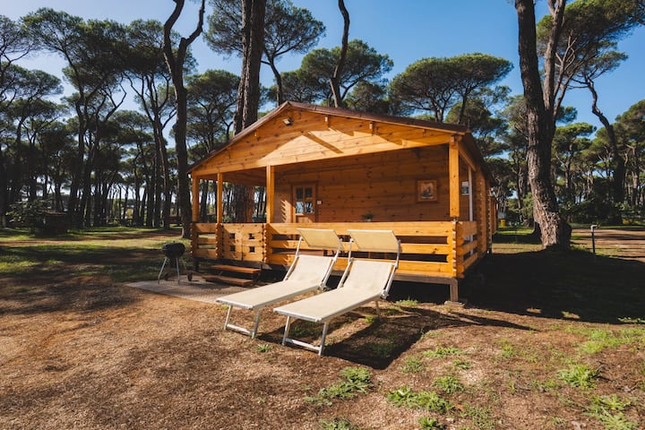 Bungalow Maxi - Nettuno