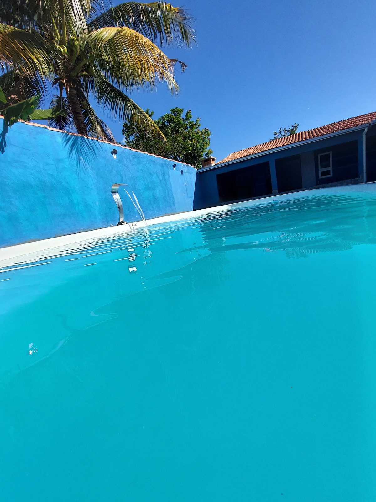 A crystal-clear swimming pool with vibrant blue water reflects the bright sky above. Lush palm trees are visible on the edge of the pool area, providing a tropical ambiance. The surrounding walls are painted in a complementary blue, adding to the serene environment.