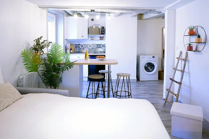 Studio éLégant Roanne - Roanne