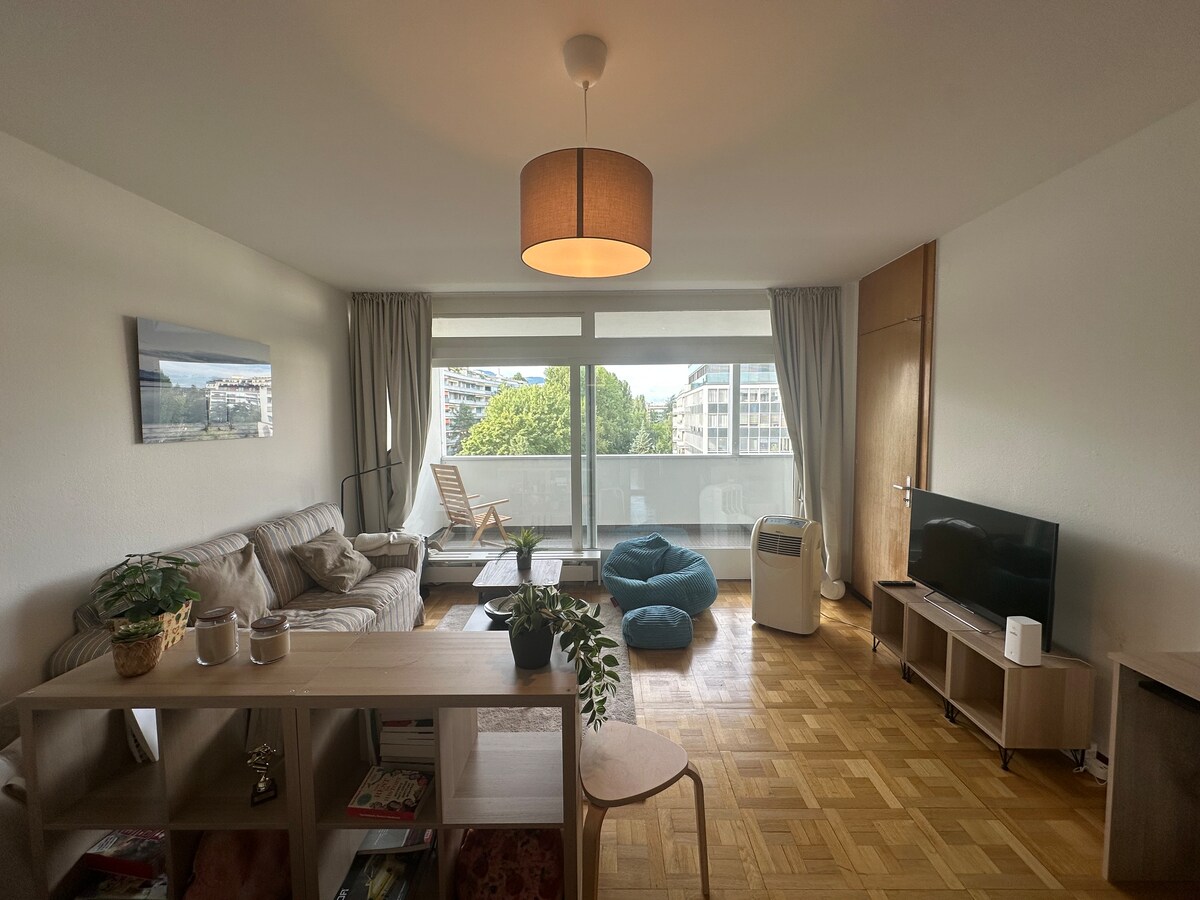 Top performing Airbnb: Spacious studio 40 square meters in Champel