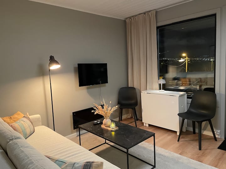 Moderne 2-roms Hybelleilighet Med Utsikt - Norwegen
