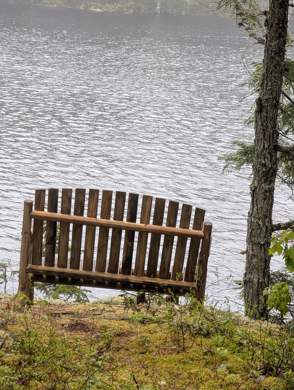 A wooden bench is positioned by the water's edge, providing a serene view of the calm lake. Surrounding greenery and moss-covered ground create a natural setting, while gentle ripples on the lake surface reflect the nearby trees.