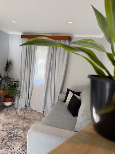Top performing Airbnb: Refúgio do Nevoeiro (1-bedroom apartment) in Porto Moniz