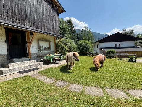 Stalloase am Huberhof