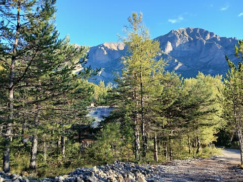 Group cottage in the woods