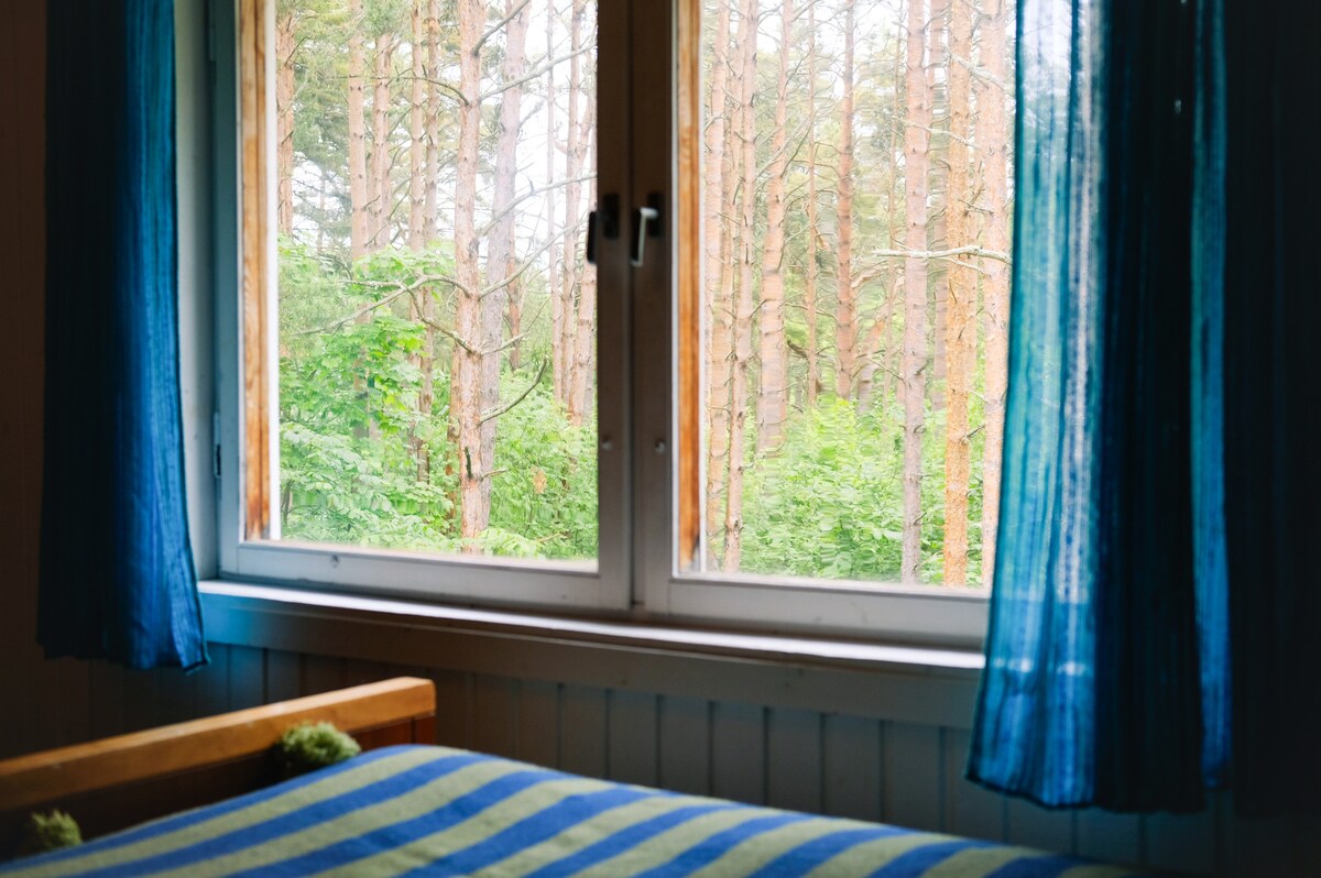 A bedroom window is framed by sheer blue curtains that allow natural light to filter in. Dense green foliage and tall pine trees are visible outside, creating a seamless connection with the surrounding nature.