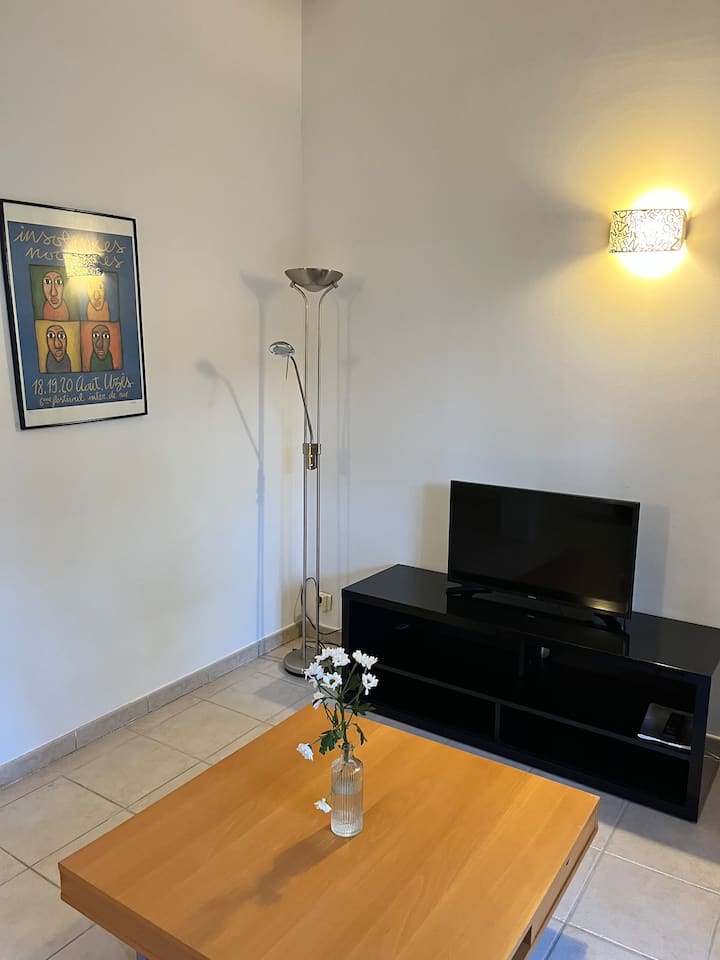 Studio De Charme Dans Une Résidence En Provence. - Graveson