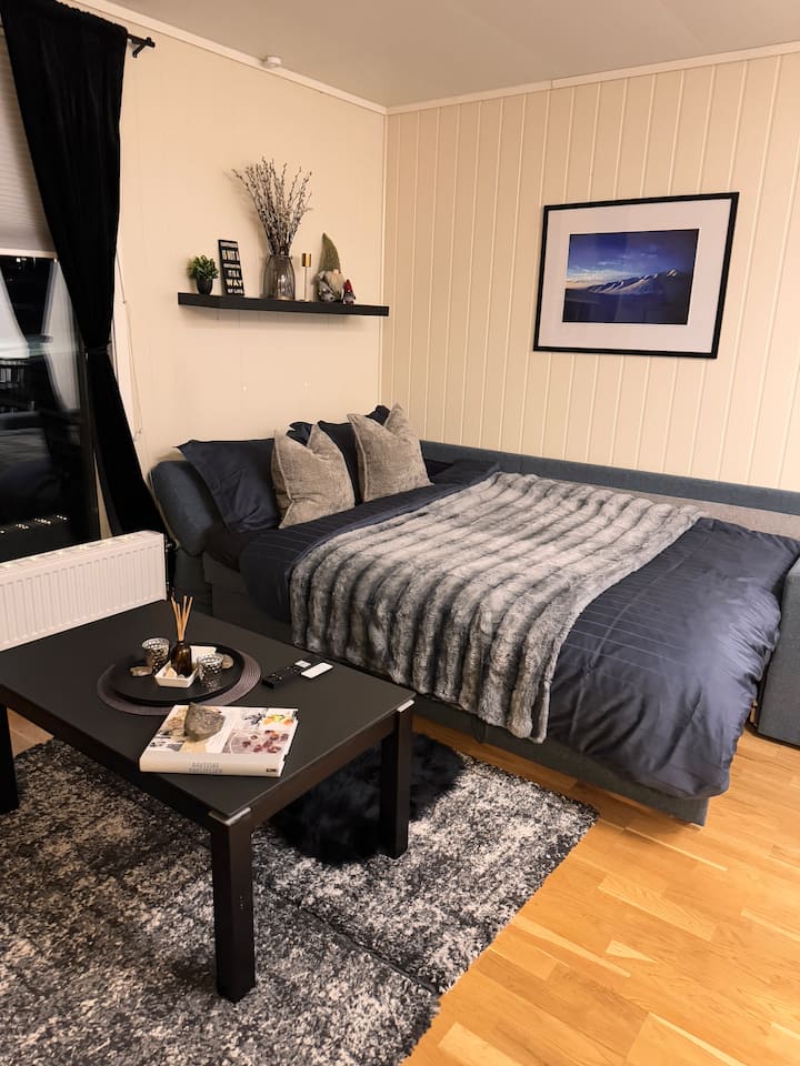 Sofá cama en la sala de estar disponible como cama previa solicitud.