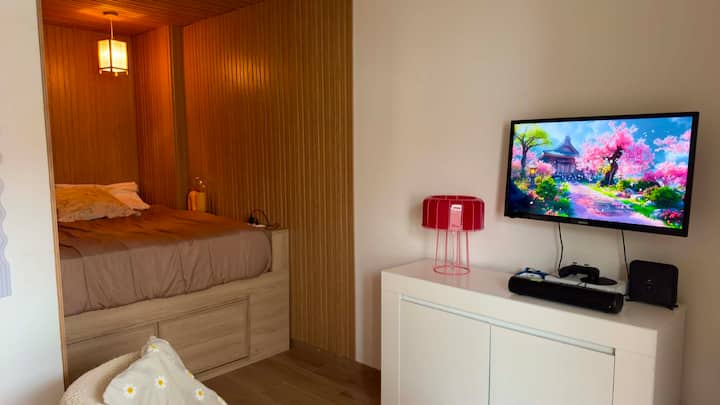 T1 Bis Ambiance Japonaise - Quartier Saint Martin - Biarritz