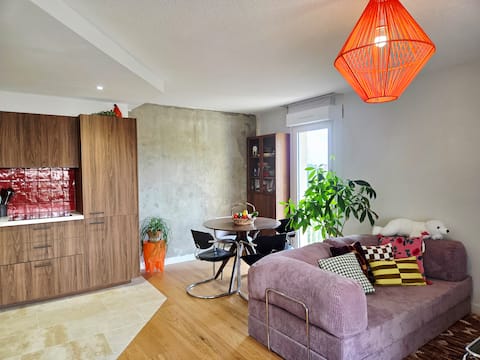 Propriété Airbnb réussie: Air-conditioned apartment with parking and terrace à Toulouse