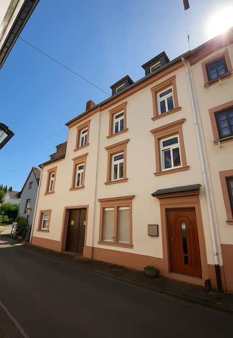 Modern city villa in the center