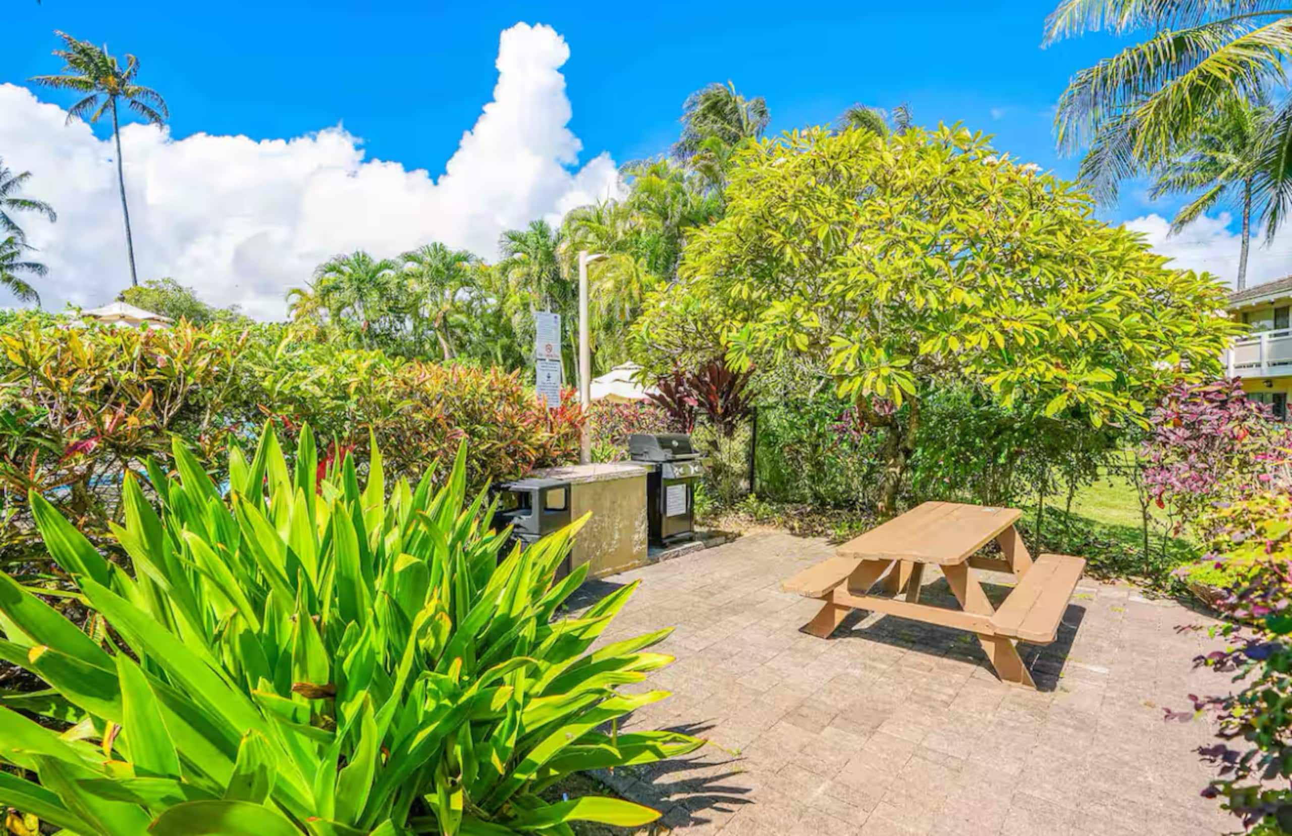 Ocean view A/C, pool/hot tub coconut marketplace - Photo 23