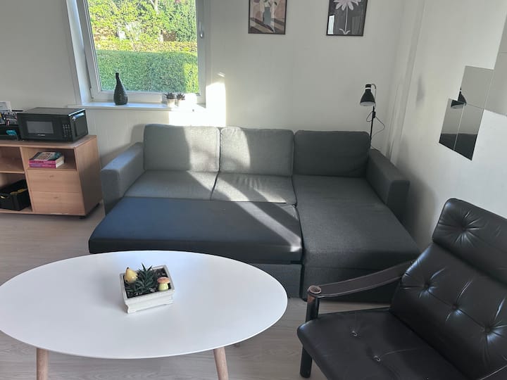 Hyggelig Lejlighed I Ribe (4 Sovepladser) Tv/wifi - Ribe