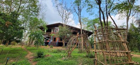 Your Secret Jungle Hideaway Private Land toExplore