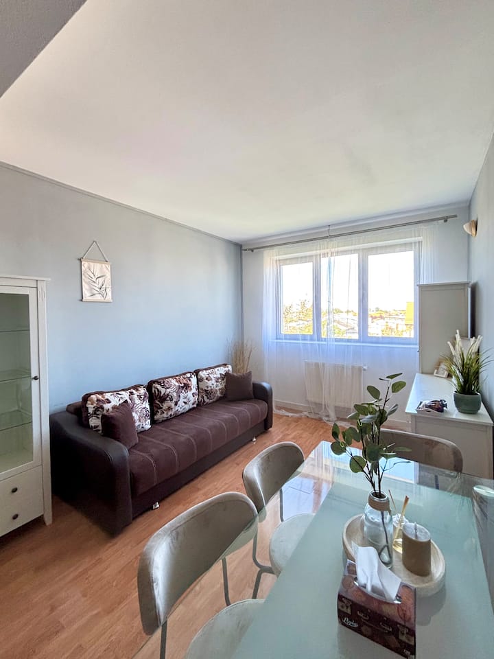 Cosy Modern Place - Județul Satu Mare