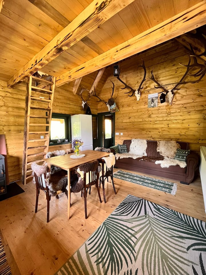 Wildernest In The Carpathians - Rumanía