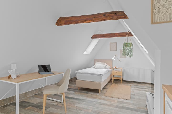 Ricls Boardinghouse, Single Room M, Pforzheim - Deutschland