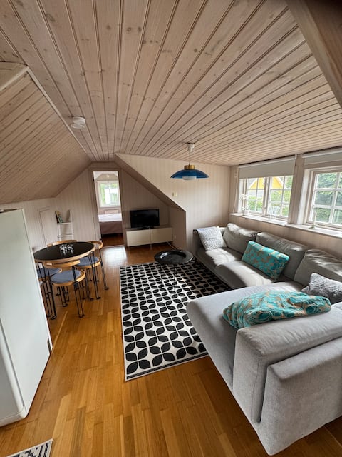 Top Airbnb: Cozy little apartment in Kristianstad