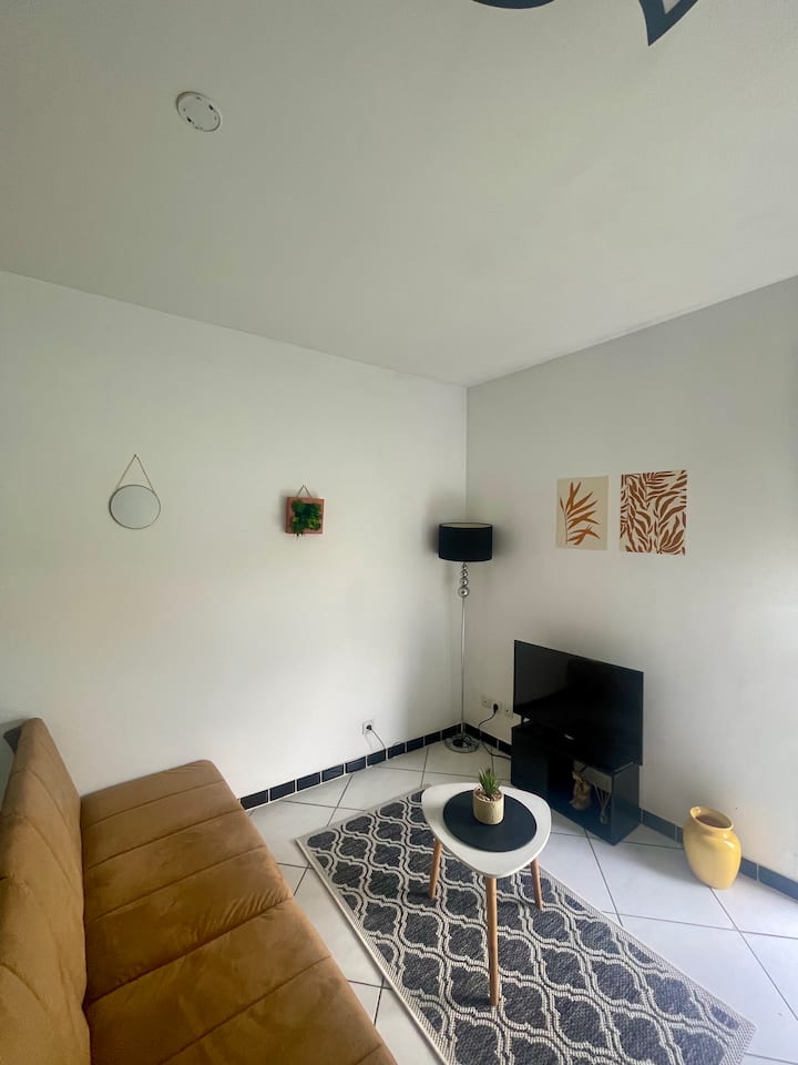 Appartement Cosy Avec Terrasse - Mimizan Plage