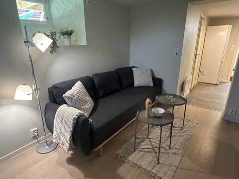 Popular Airbnb listing: Cozy basement in Østensjø