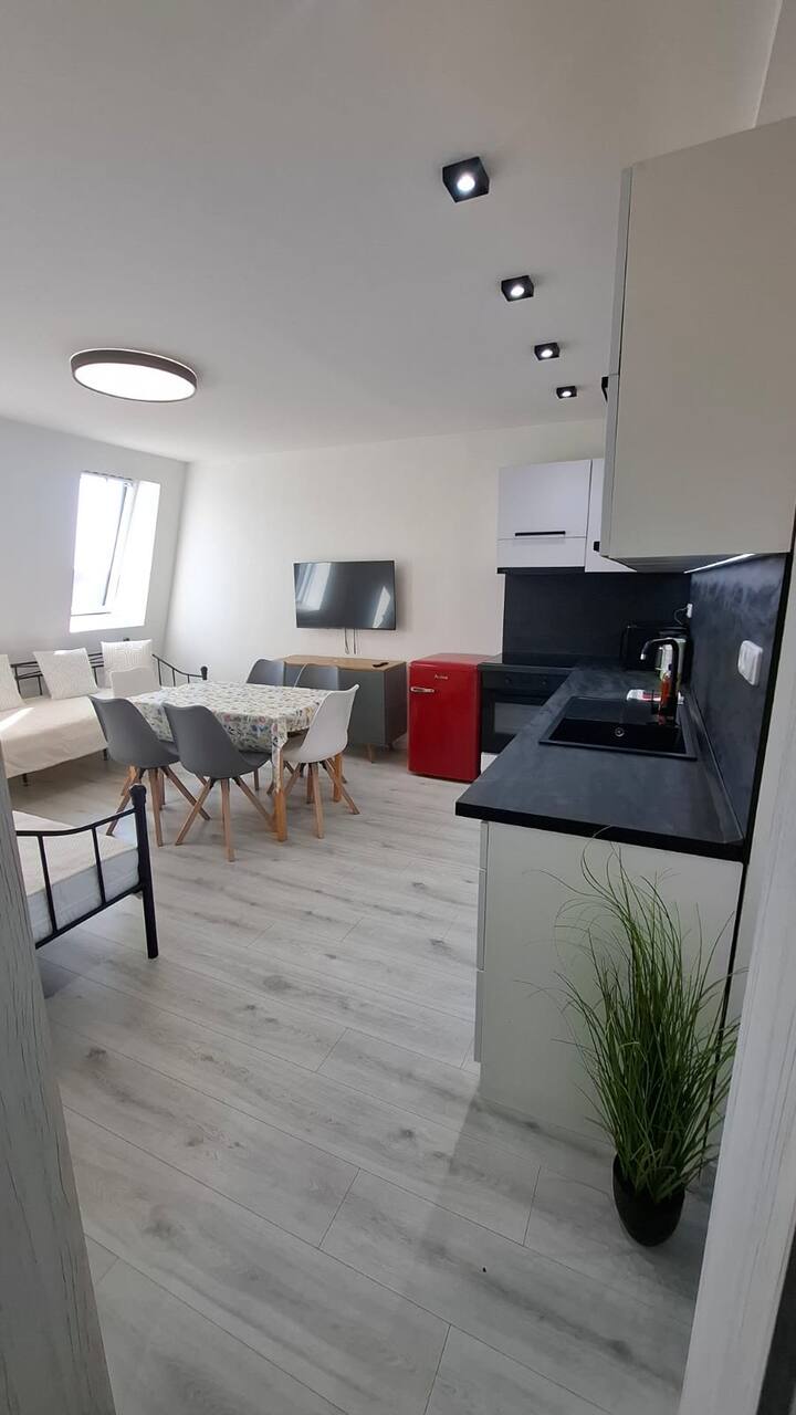Masarykova Apartments 8 - Teplice