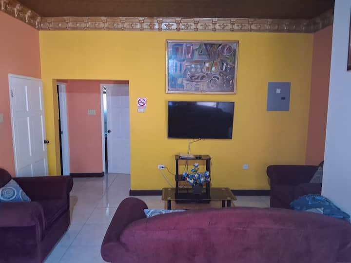 Flexible 1 Bedroom Apartment - Jamaica