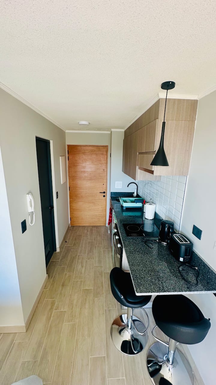 Estudio Acogedor A Pasos De La Costanera - Valdivia
