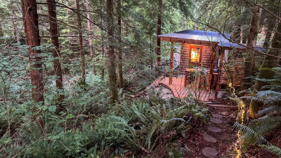 The Fern Nest, a tiny cabin in old-growth forest, Jordan River, British Columbia, Canada, photo 8 of 10