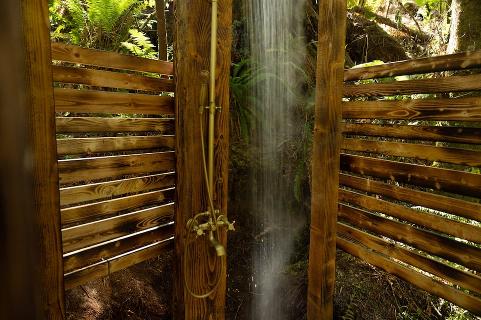 The Fern Nest, a tiny cabin in old-growth forest, Jordan River, British Columbia, Canada, photo 3 of 10