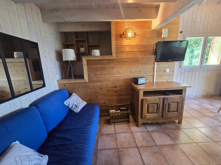 Chalet 8 Pers/ Sauna/ Belle Vue - L'Alpe d'Huez