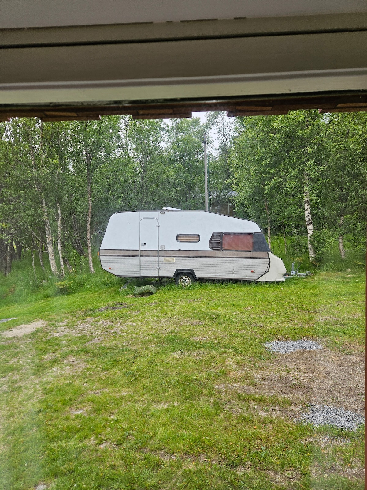A compact white camping trailer is positioned on a grassy area, surrounded by lush greenery. A tree canopy is visible in the background, contributing to the natural setting. The trailer features a window with a light-colored curtain, partially closed.