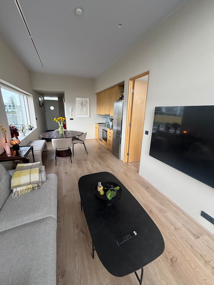 Beautiful One Bedroom Apartment Near City Center - Rejkiawik
