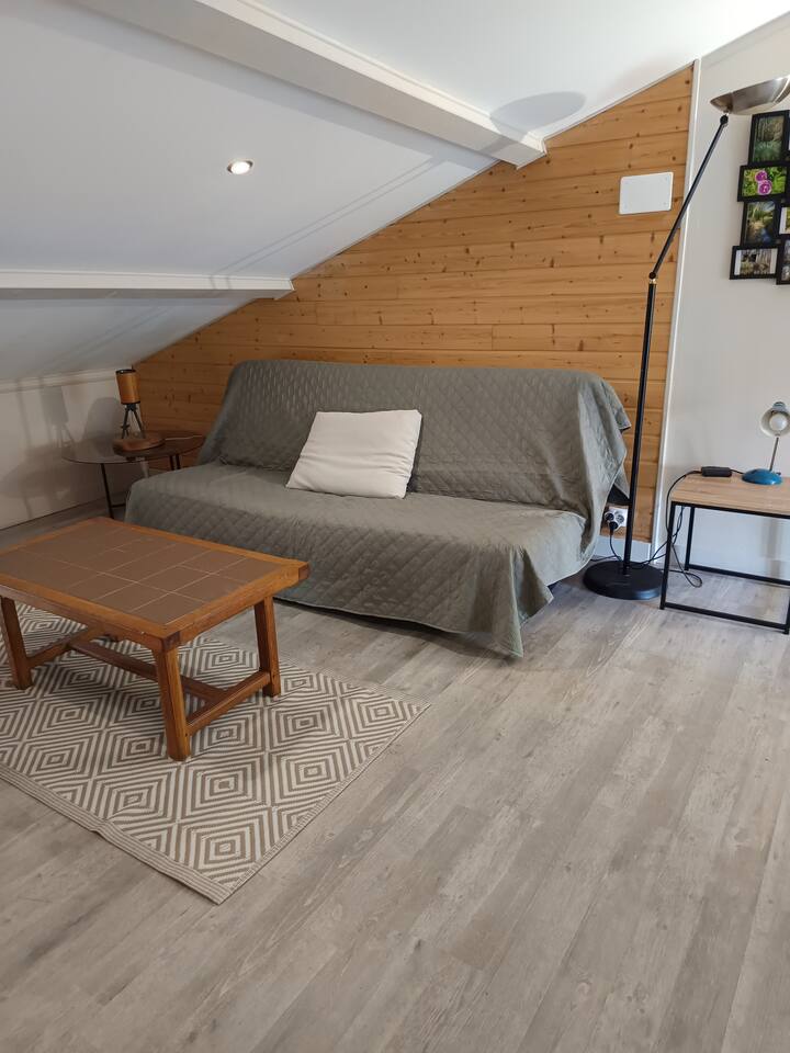 Appartement Idéal Pour Une éTape - Marais poitevin