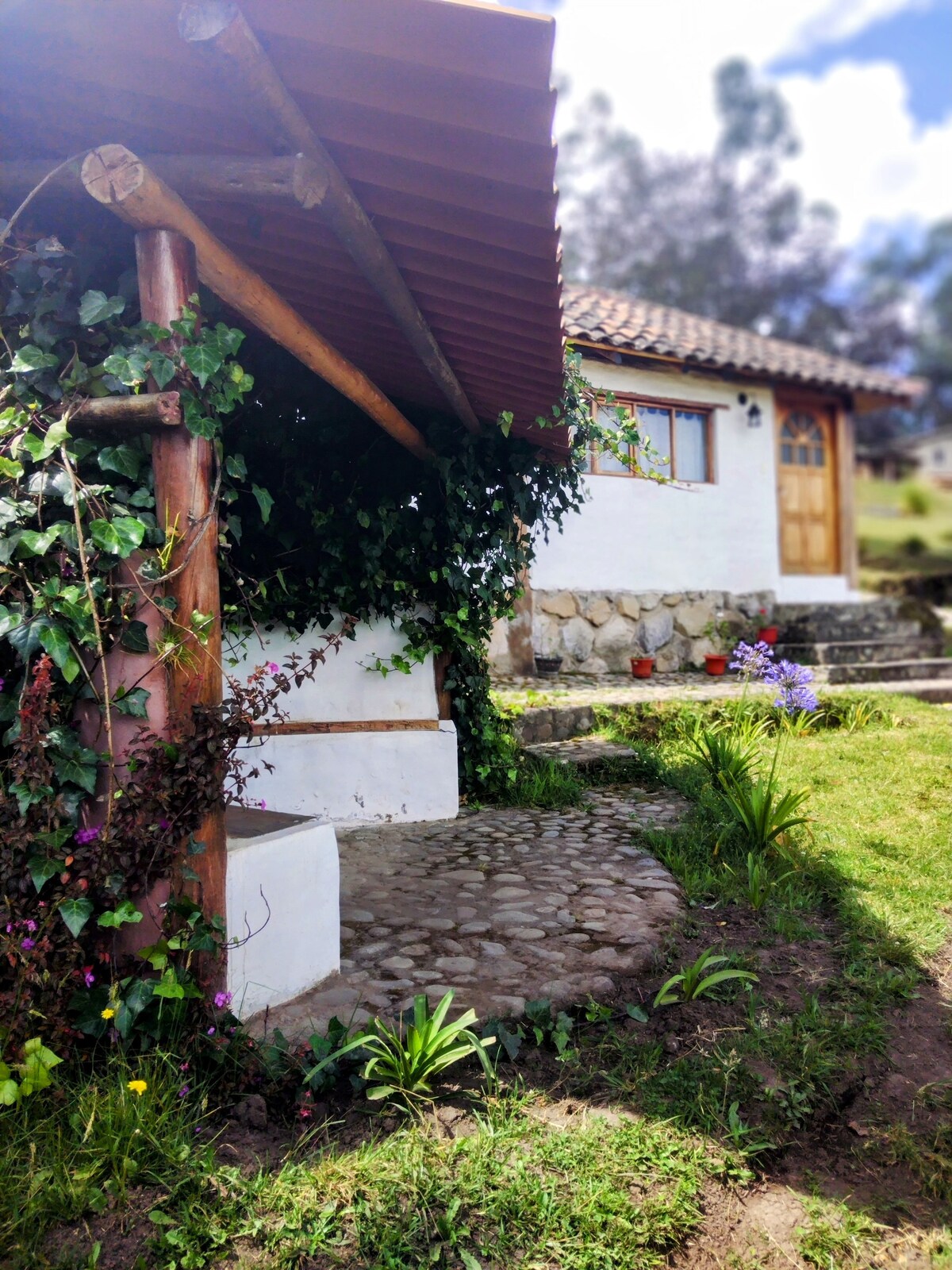 A charming entrance is framed by lush greenery and ivy, leading to a rustic stone pathway. The whitewashed walls of the building contrast with the natural surroundings. A wooden roof provides shelter above a small bench, inviting relaxation in a serene setting.