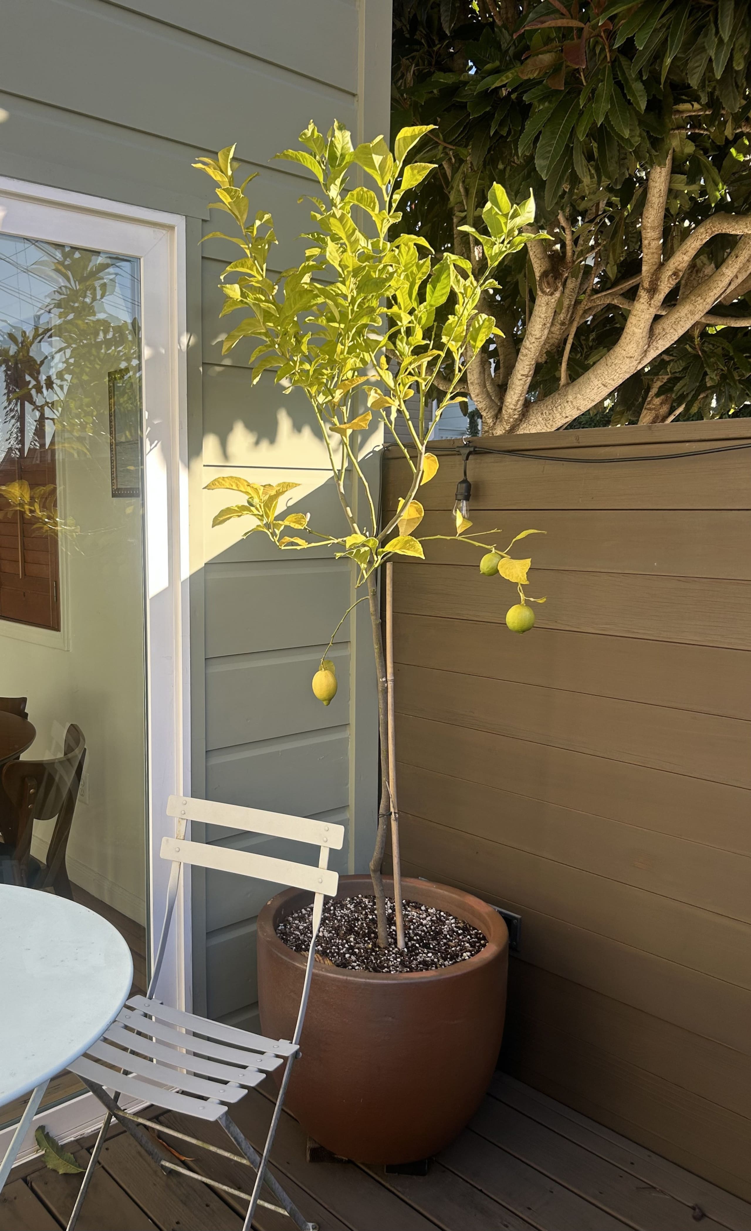 Home in San Francisco · ★4.91 · 1 bedroom · 1 bed · 1 bath - Image 8