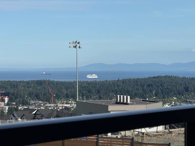 The Dream Lookout gallery image 2