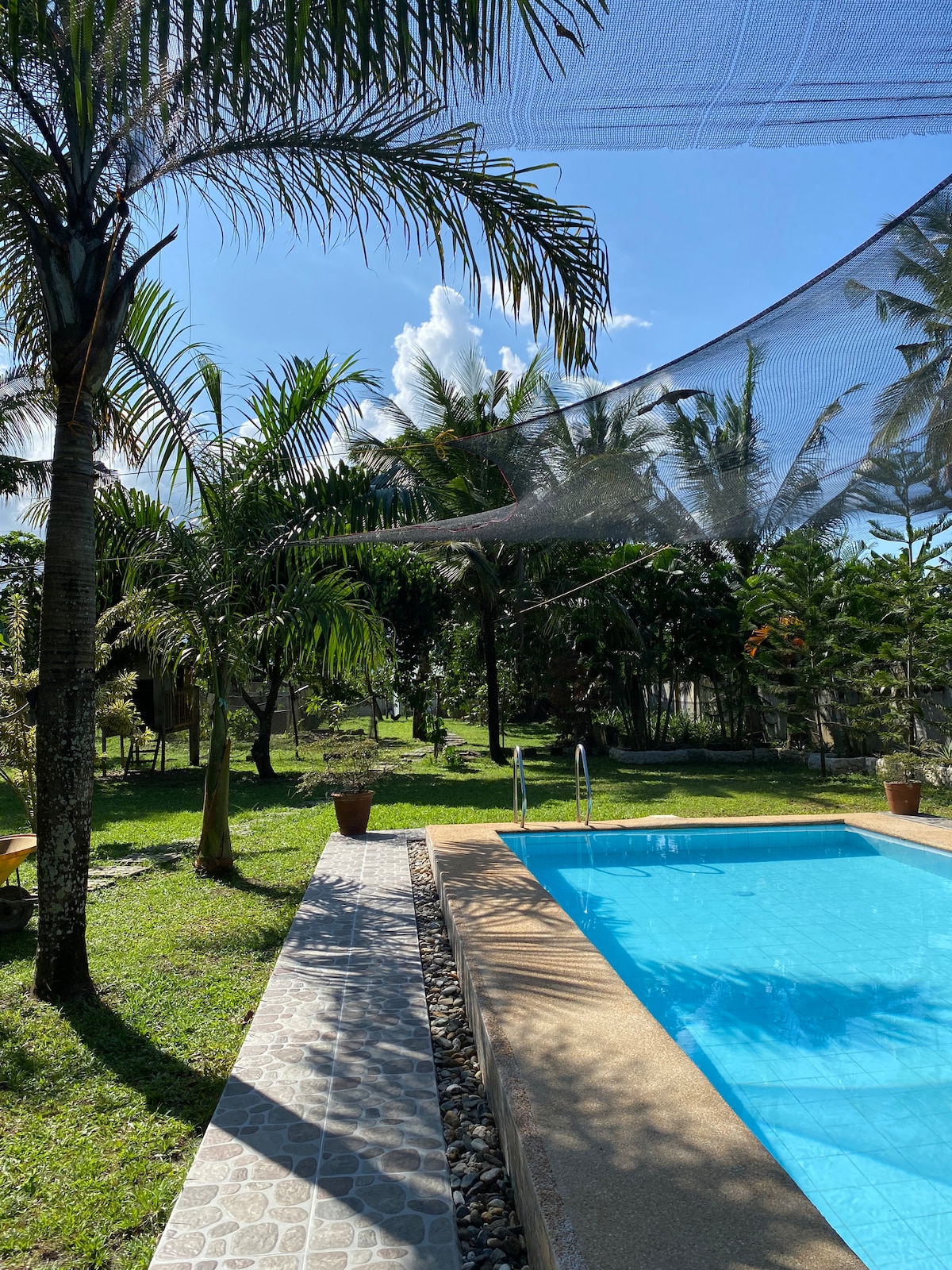 A serene private pool is framed by vibrant green palm trees. Sunlight filters through a netted shade, creating a pattern over the water. Lush tropical plants fill the background, enhancing the peaceful atmosphere of the outdoor space.