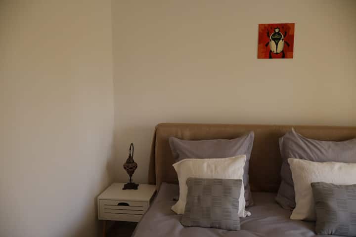 Casa Albinelor - Apartament - Feldioara