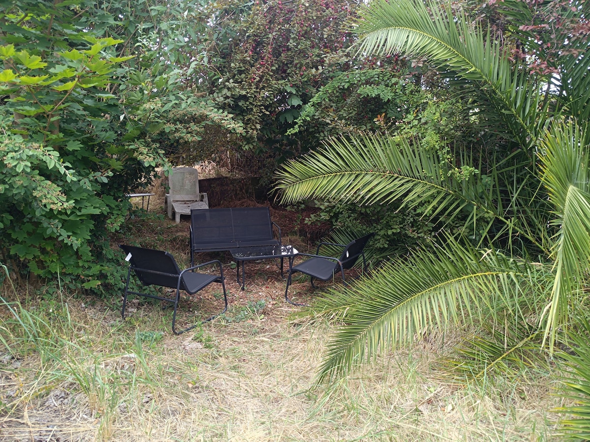 A small outdoor seating area is nestled among lush greenery, featuring four black lounge chairs surrounding a central table. Tropical plants and shrubs create a secluded atmosphere, offering a tranquil space for relaxation. The ground is covered with natural grasses and undergrowth.