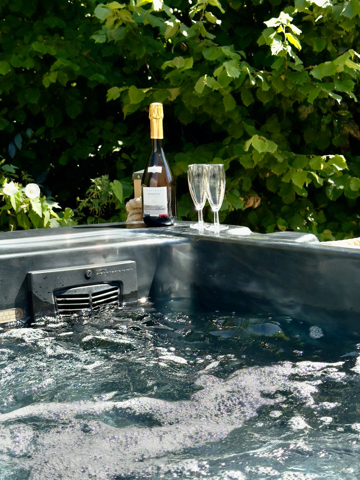 A spa is shown with bubbling water, accompanied by a bottle of champagne and two champagne flutes positioned nearby. Lush green foliage creates a serene backdrop, enhancing the tranquil setting.