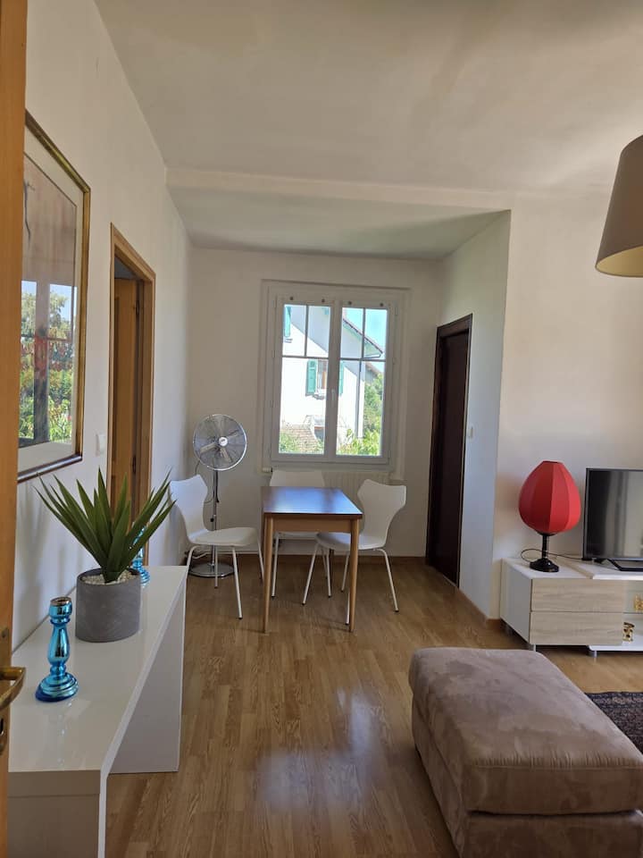 Lumineux, Bien Situé, Avec Terrasse Privée - Thonon-les-Bains